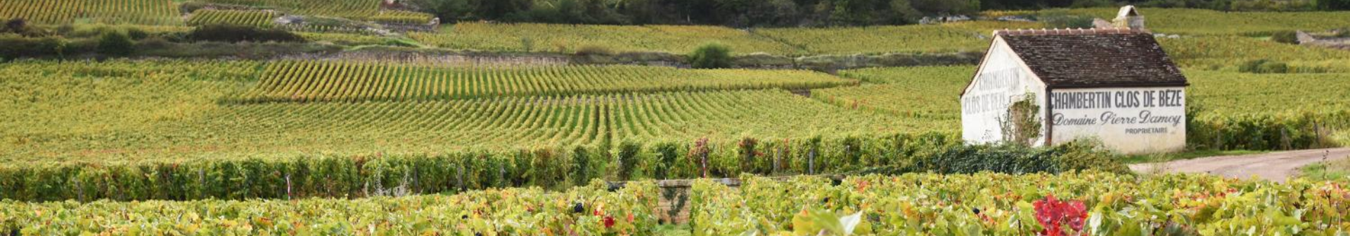 Vino denominazione Chambertin Clos de Bèze