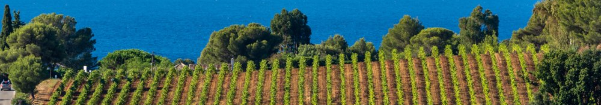 Regione Provenza