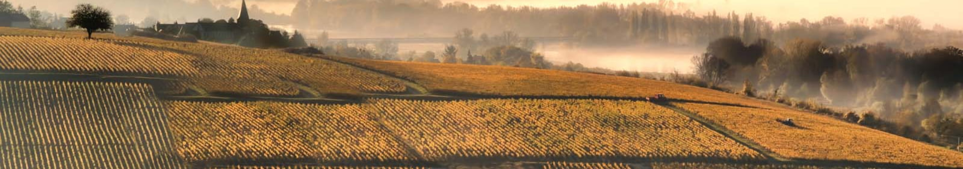 Vino denominazione La Romanée