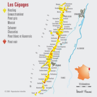 Vino denominazione Riesling