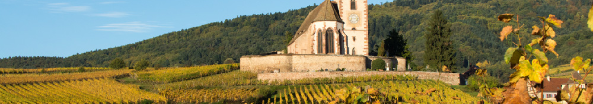 Vino denominazione Riesling