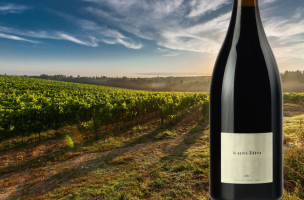 DOMAINE DU CLOS DES FÉES La Piccola Siberia Magnum 2012