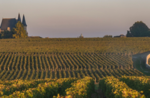 Denominazione Pauillac