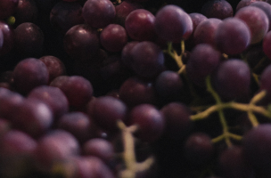I grandi vini di Bordeaux