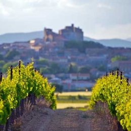 Vini della Linguadoca-Rossiglione