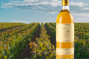 Château d'Yquem 1980