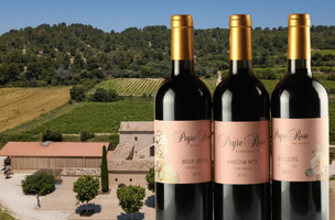 ASSORTIMENTO Domaine Peyre Rose 2012